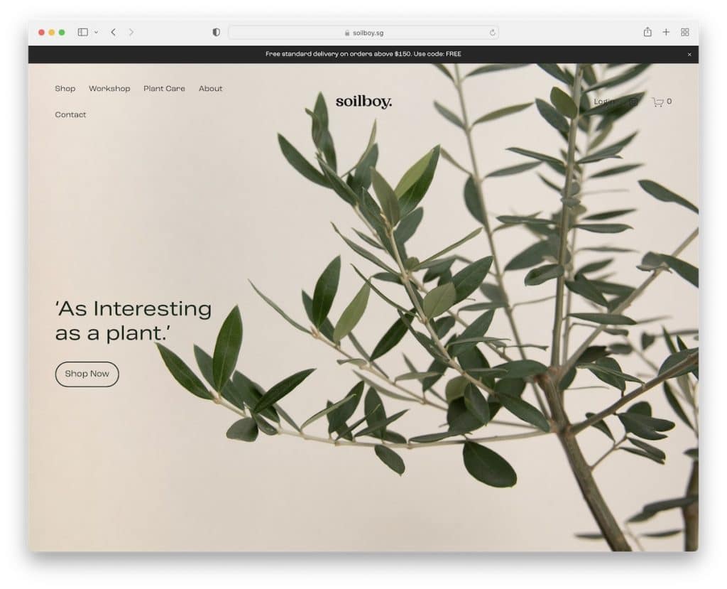 esempio di sito web semplice di soilboy