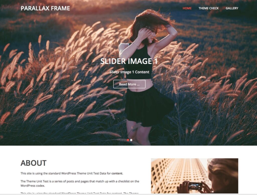 Aperçu du thème de comptabilité Parallax WordPress