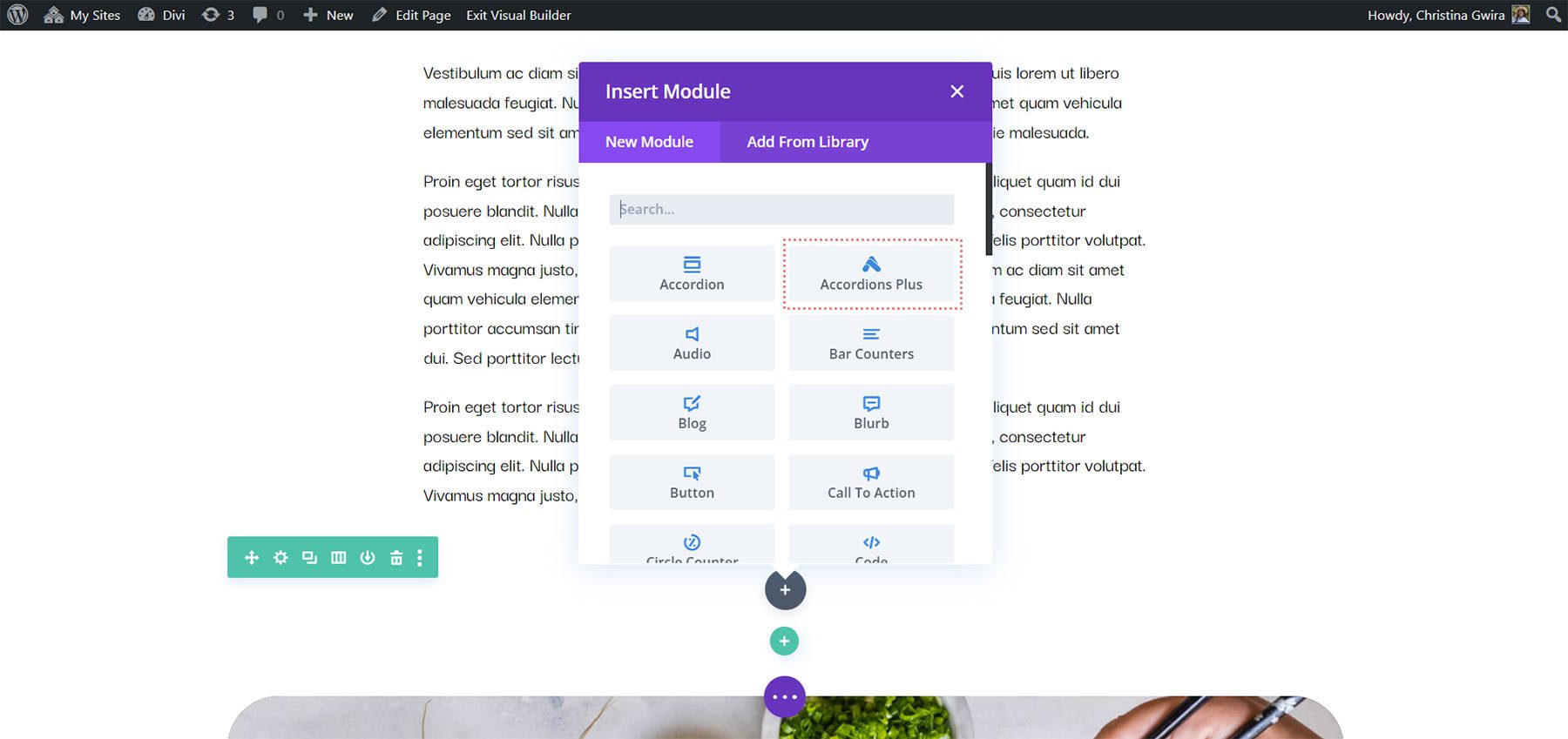 Akkordeons Plus zum Layout hinzufügen