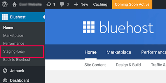 WordPress Bluehost 的暫存站點