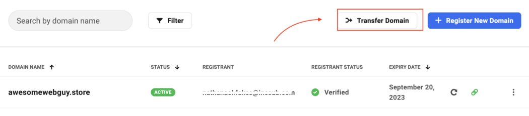 Registerkarte Domain übertragen