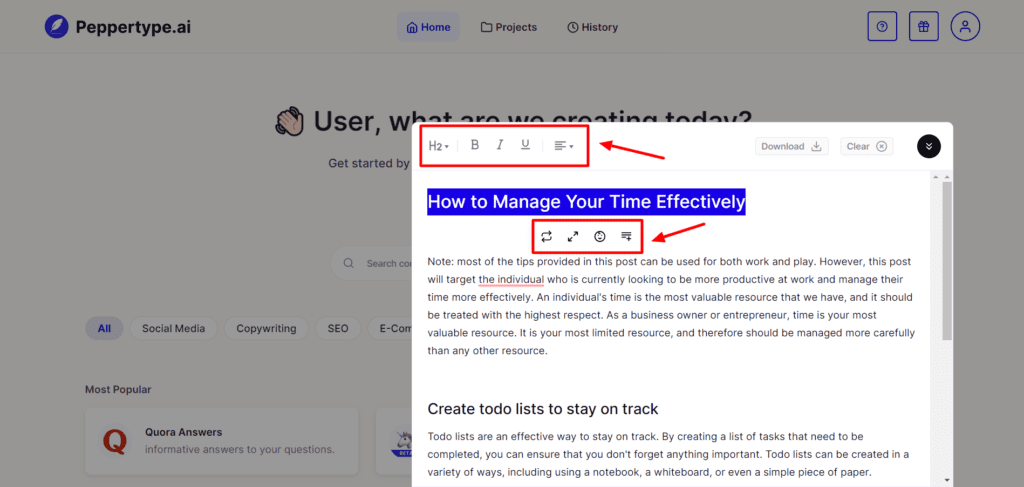 ตัวแก้ไขแบบฟอร์มยาว Peppertype