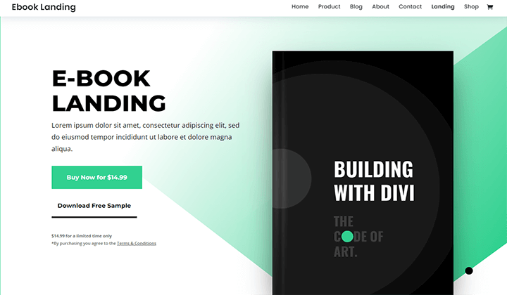 divi ebook 21