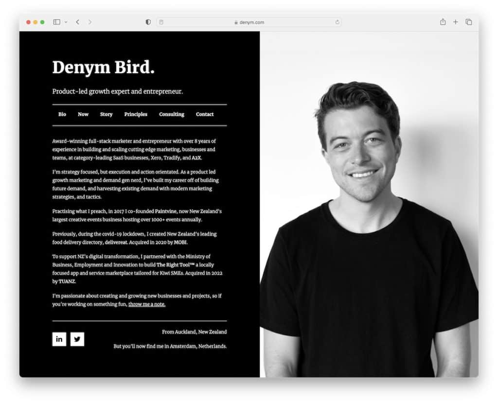 site-ul de consultanță denym bird