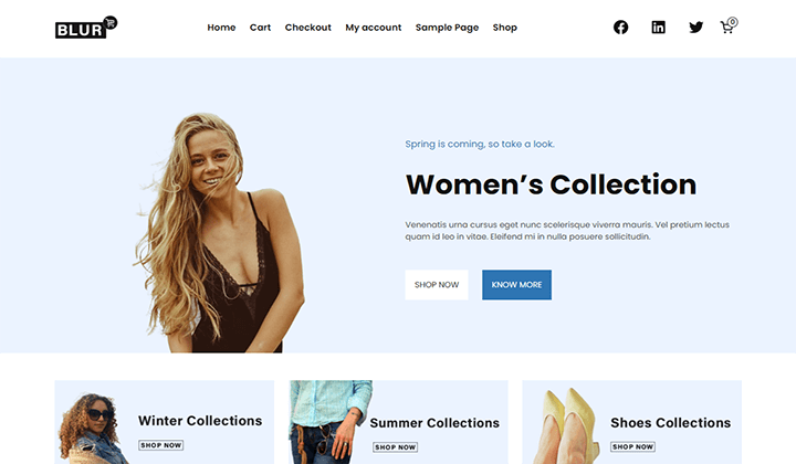 Best WordPress WooCommerce Block Themes 