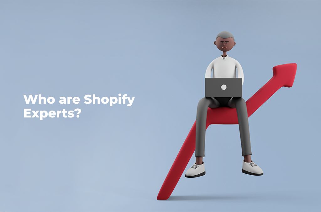 ¿Quiénes son los expertos en Shopify?