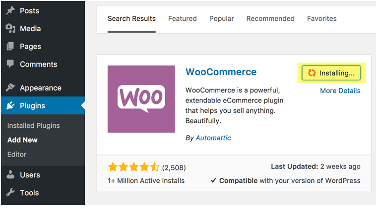 Woocommerce Stripe