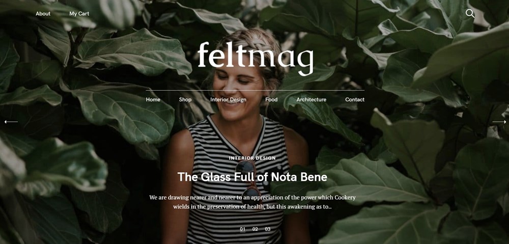 Felt Magazine tema demosu