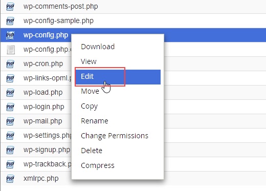 edición de configuración de wp