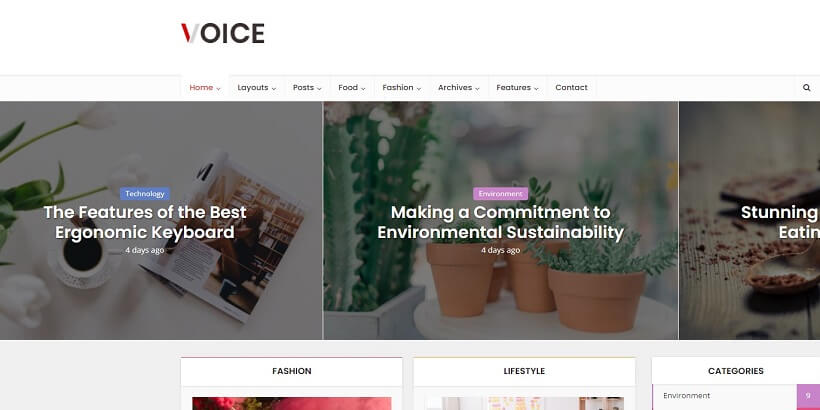 Voice-Best-Amazon-Affiliate-WordPress-테마