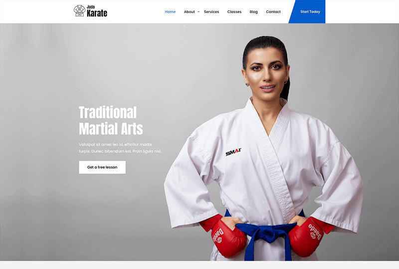 SKT Karate WP Theme