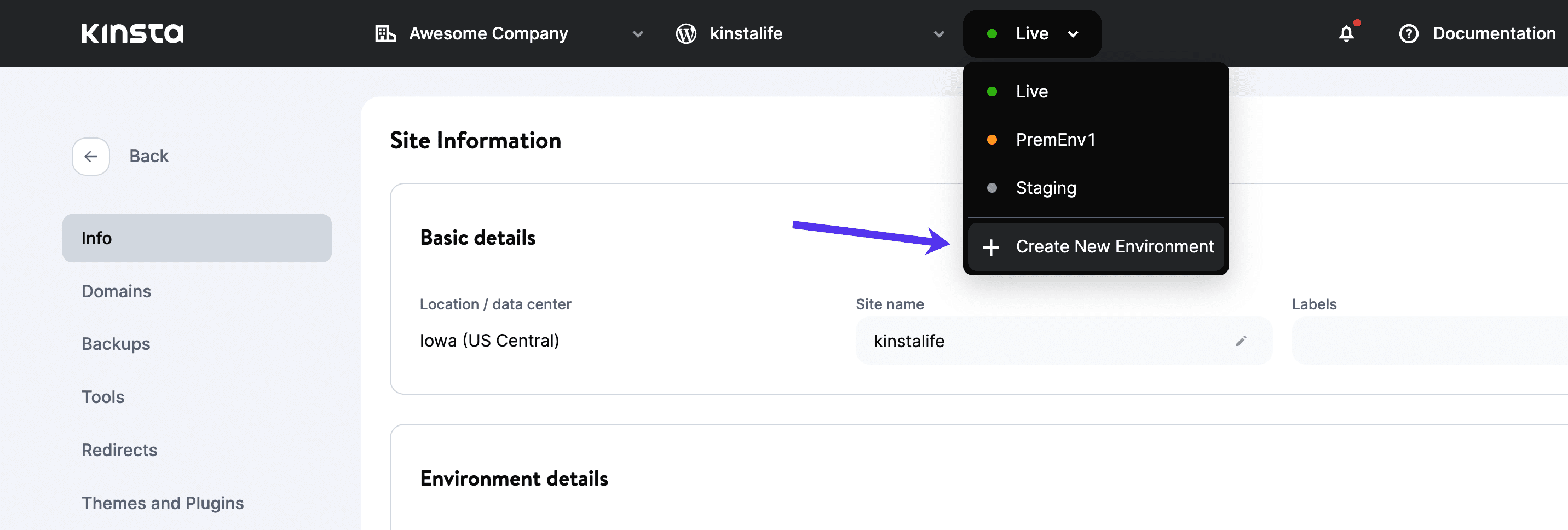 MyKinsta - Yeni bir ortam oluştur