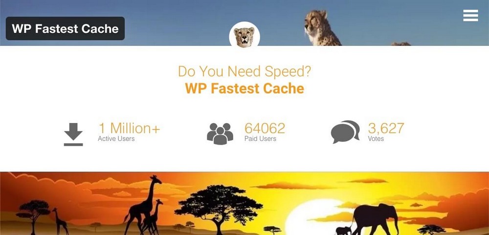 Домашняя страница WP Fastest Cache