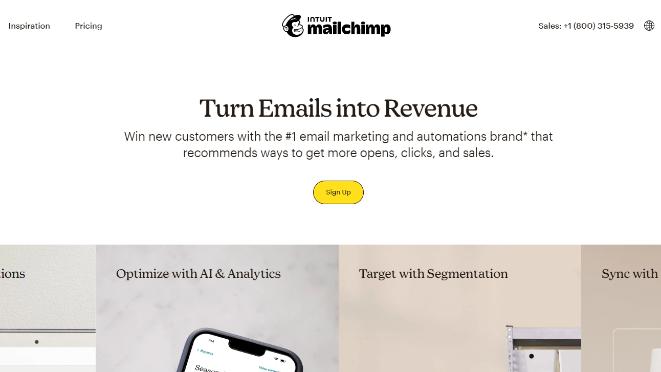 如何创建新闻通讯表格并集成 - MailChimp