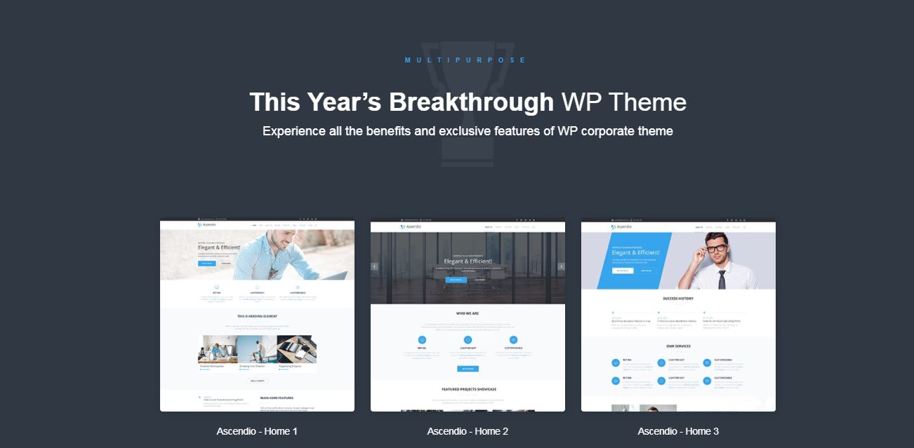 ascendio efficient and bright templatemonster wordpress theme