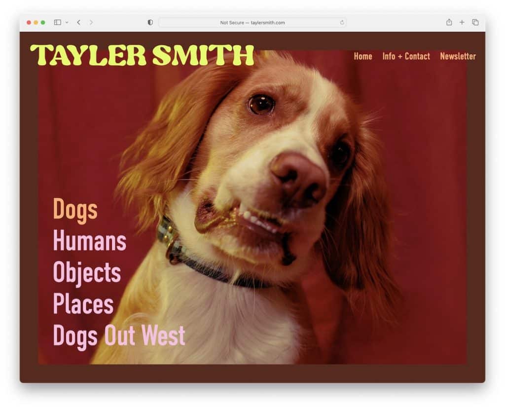 esempio di fotografia di tayler smith squarespace