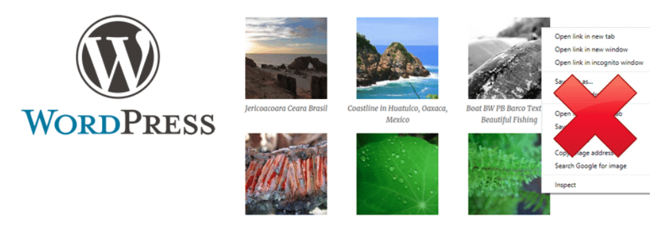 screenshot dal plug-in Disable Right Click Images nel repository di WordPress
