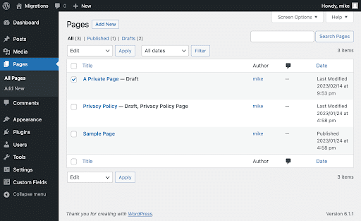 WordPress 経由のメインの「Pages」ページ