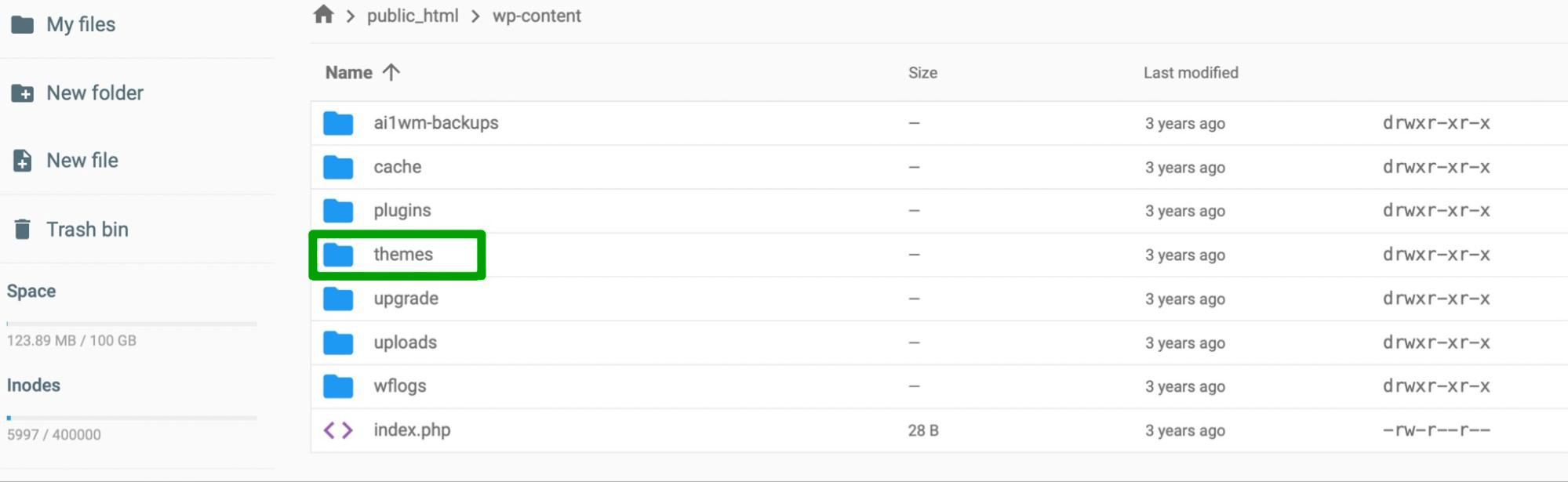 visualizando a pasta de temas no cpanel