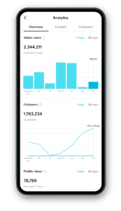 Cette image montre à quoi ressemblent les analyses de tiktok