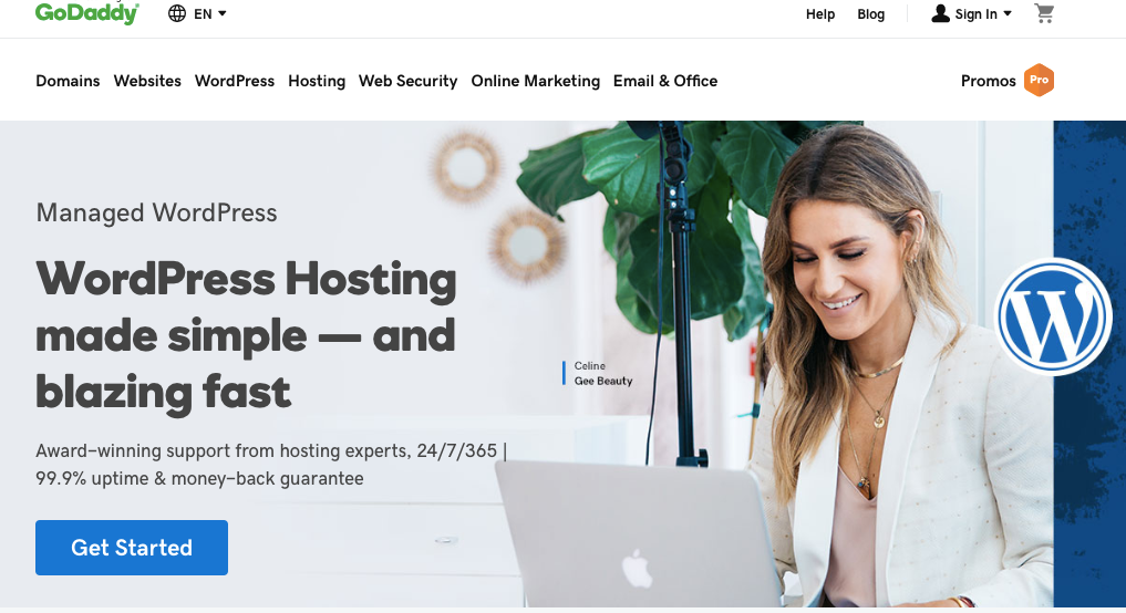 Dies ist das Homepage-Bild des GoDaddy WordPress-Hostings