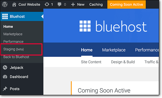 постановка bluehost