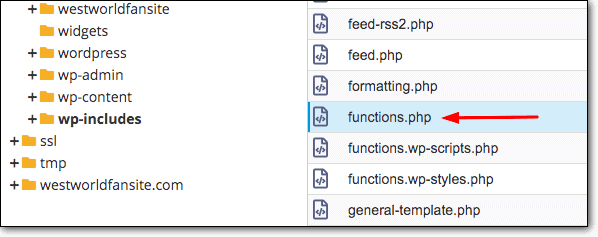 function.php 파일질라