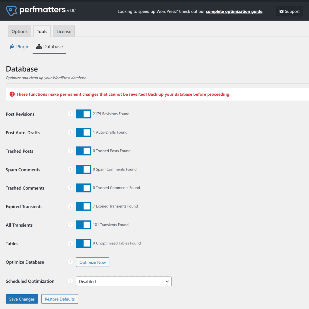 Perfmatters 數據庫選項