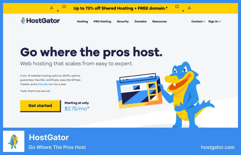 Hostgator - 最適合小型 RoR 項目的面向性能的託管