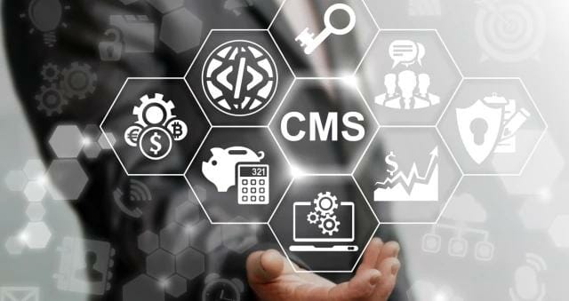 sistem de management al conținutului - Webflow Designer vs. CMS