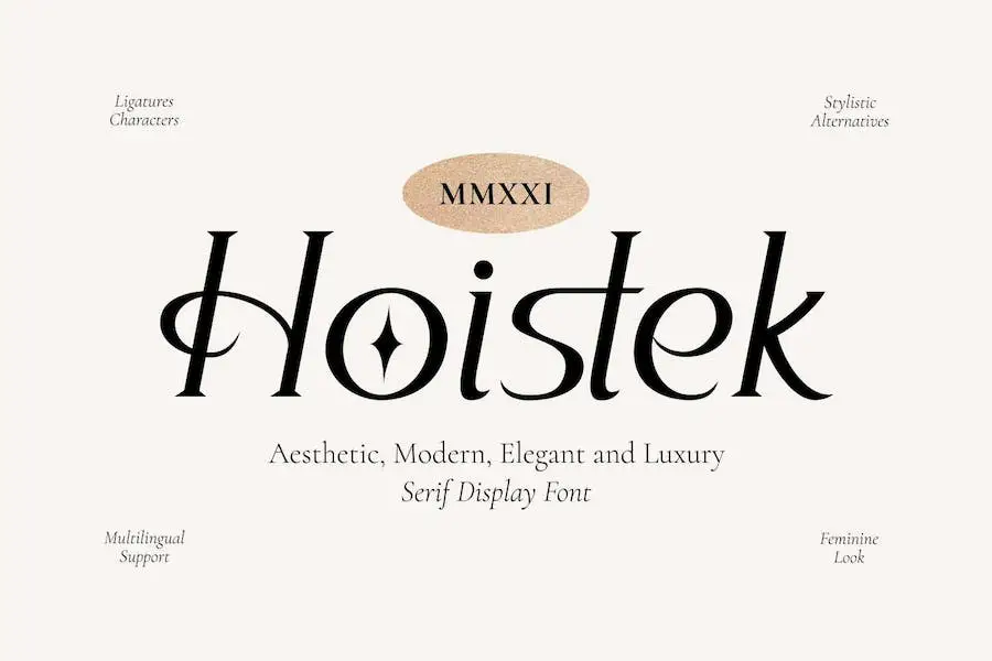 Hoistek -