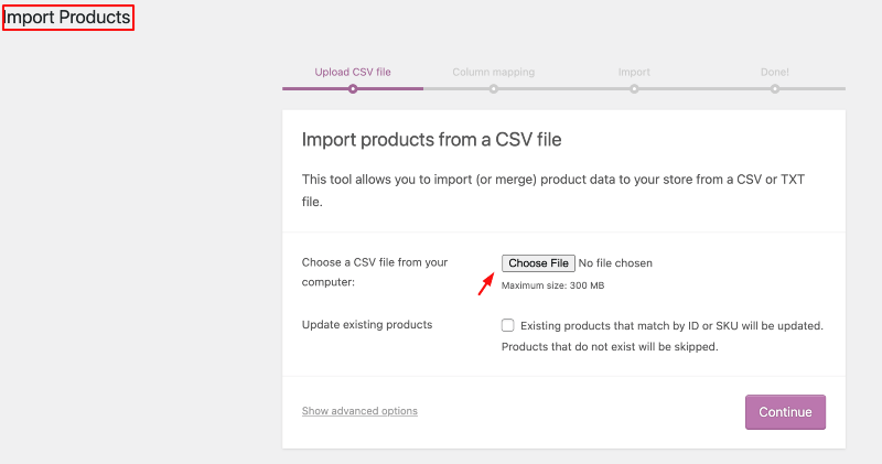 CSV-Datei wählen