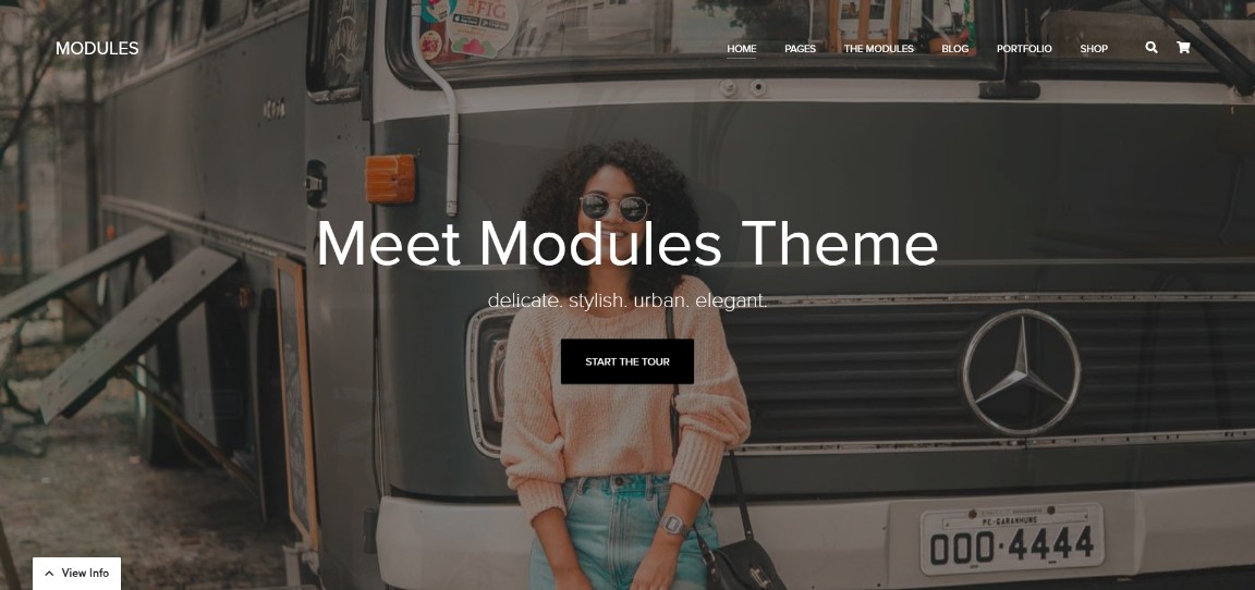 MODULE temă wordpress