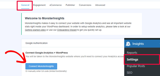 Connect MonsterInsights