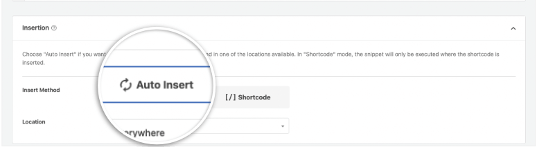 autoinsert code in wpcode