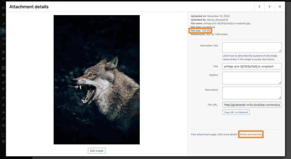 Ein Bild aus der WordPress-Medienbibliothek, das die Dateigröße und die Schaltfläche „Dauerhaft löschen“ zeigt.