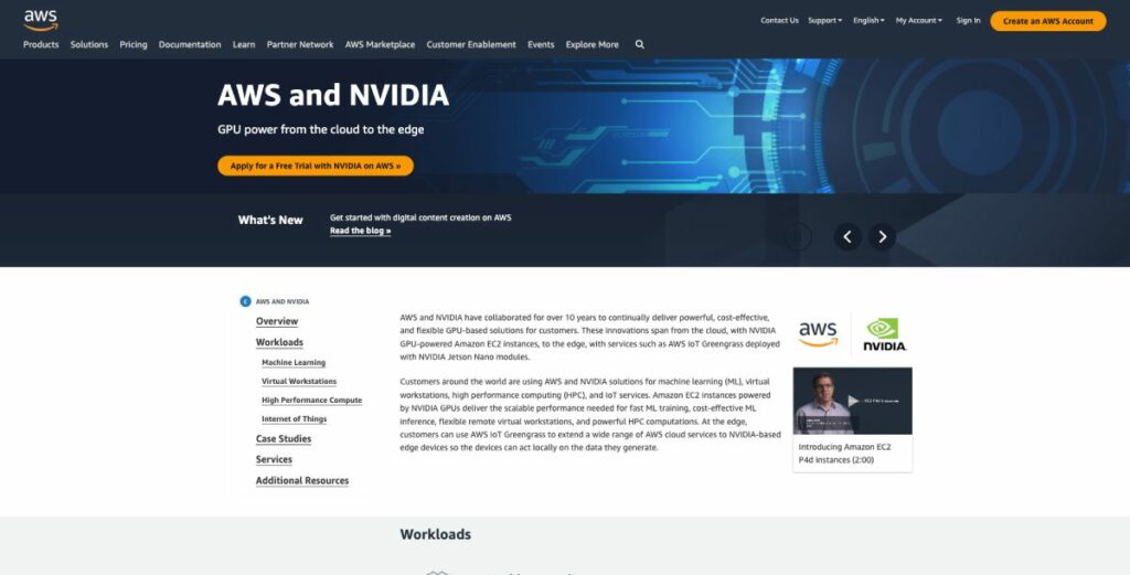 AWS GPU ホスティング