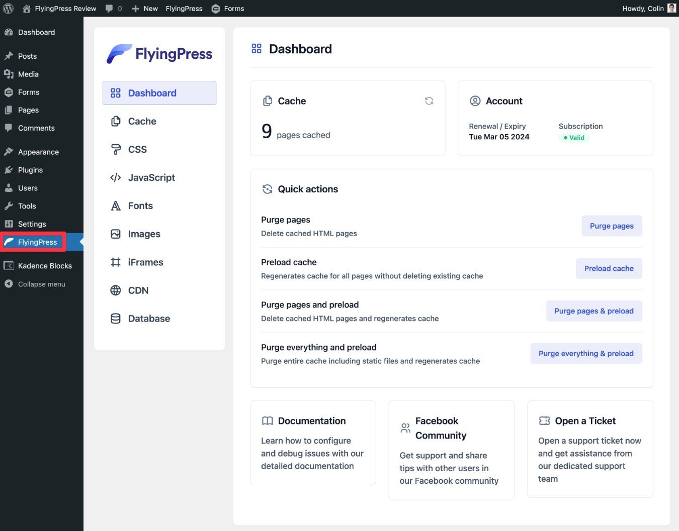 Überprüfung des FlyingPress-Dashboards