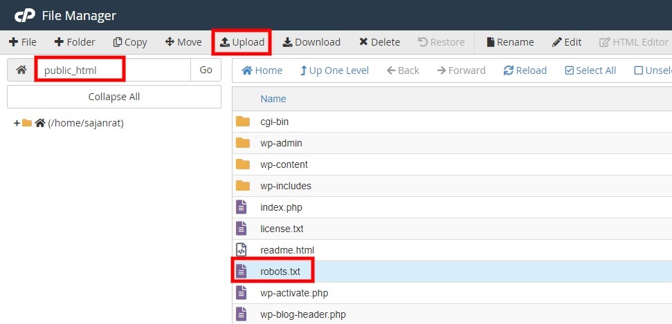 unggah file cpanel hapus robots.txt dari wordpress