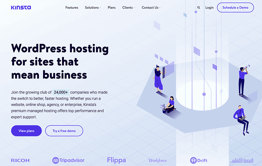 Kinsta hosting 31