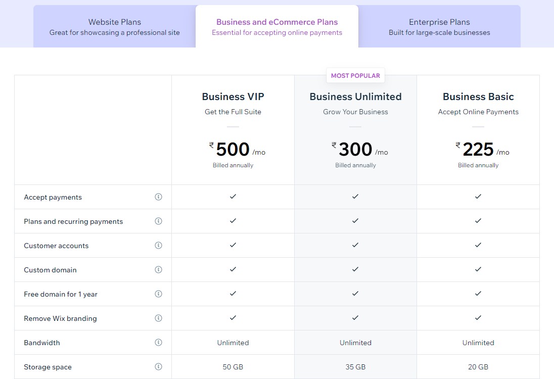 Wix 电子商务和商业计划