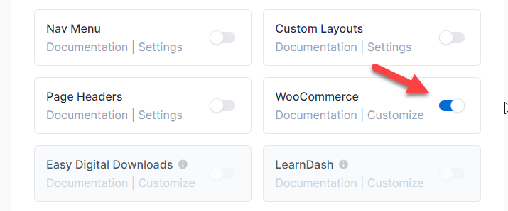 Modul-tema-Astra-woocommerce