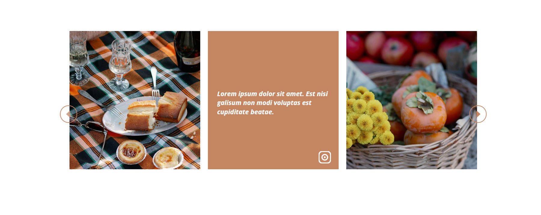 Карусель Divi Social Plus в Instagram