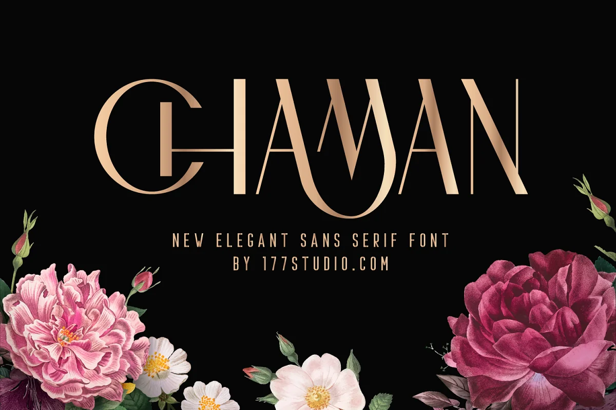 CHAMAN ELEGANTE -