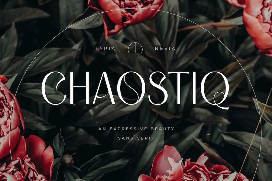 Chaostique -