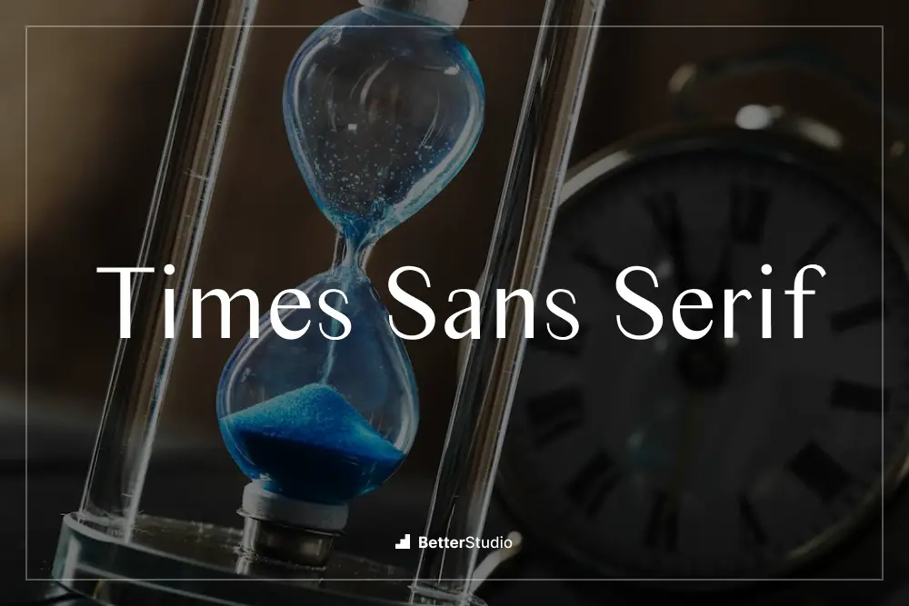 Times Sans Serif -