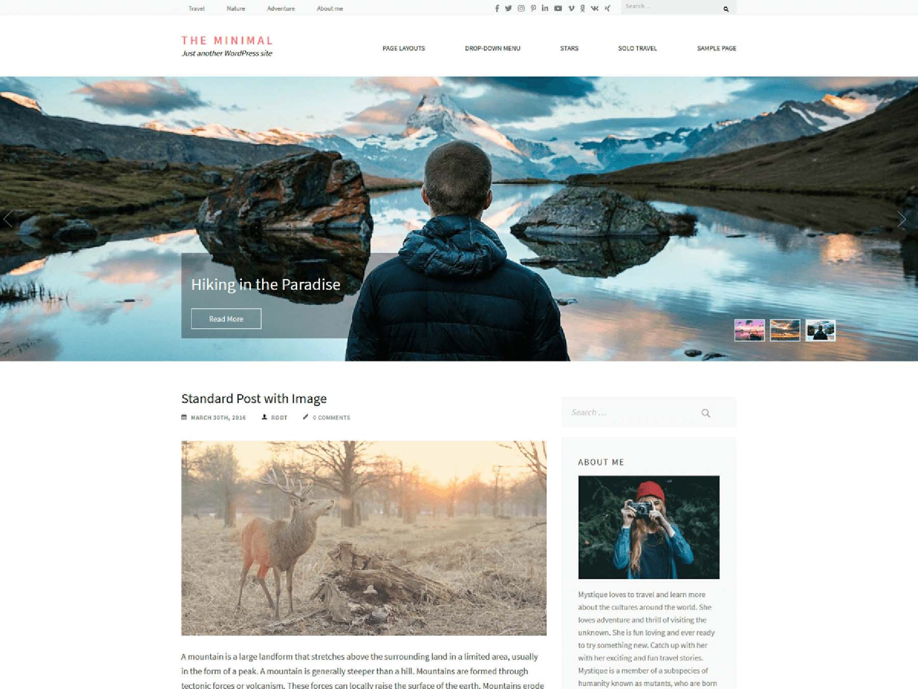 Minimal Pro, minimalistyczny motyw WordPress