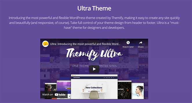 pre built WordPress theme