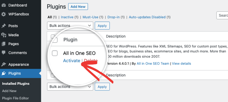 aioseo activate plugin