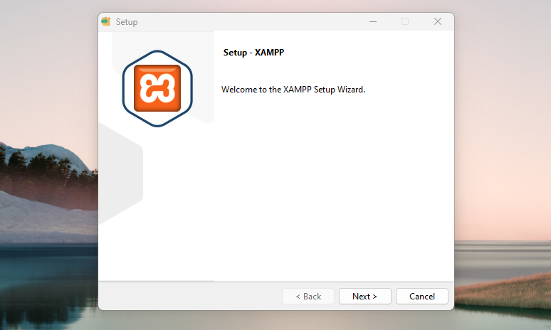 XAMPP-Setup-Assistent